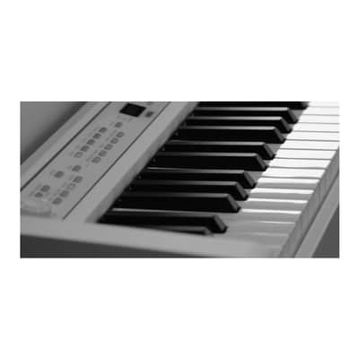 Korg C1 88-Key Digital Piano (White) with Flip-Top Bench and Headphones Bundle image 3