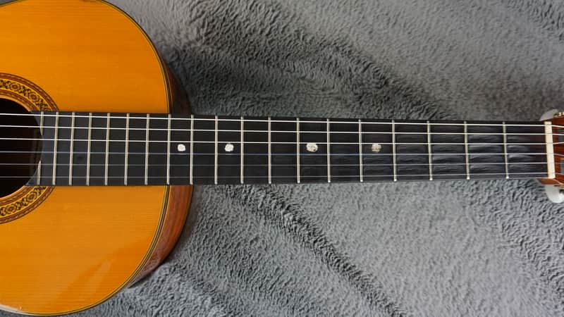 Shinano SC-20 Japan Classical Guitar | Reverb