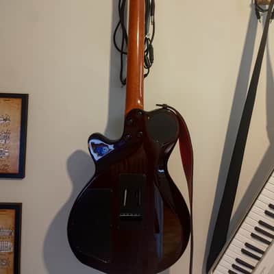 Godin xtSA 2010s - Light Burst image 2