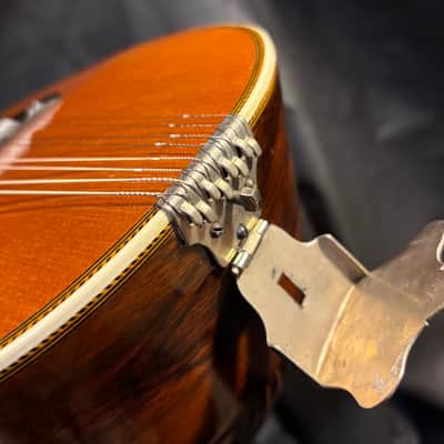 Washburn Bowlback Mandolin Stlye 215 - Brazilian Rosewood - Great Player -Org. Case - Clean! - Ships FREE!!! image 17