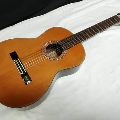 Aria A-30S classical acoustic Guitar - Nylon Strings - with Hard Case image 2