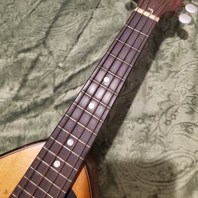 1920's Weymann Mandolute image 7