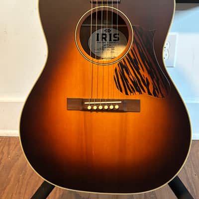Iris Guitars OG 2021 - Old Growth Woods(1 3/4" nut) image 1