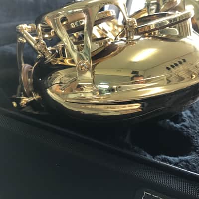 Yanagisawa Elite WO10 Professional Eb Alto Saxophone 2025 - Lacquer image 7