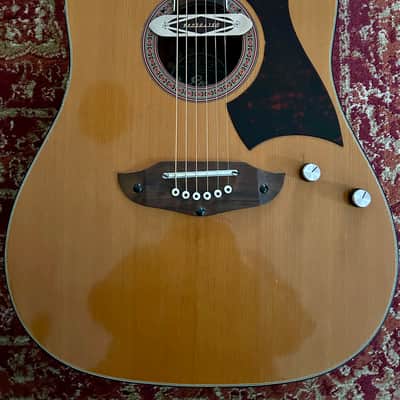 Eko Rio Bravo 6. 1970-ish - Natural with Deltaluxe sound hole pickup image 2