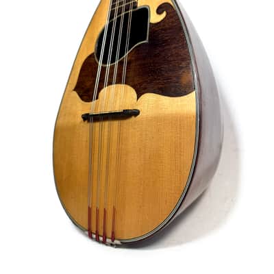 Neapolitan Mandolin G. Kasermann Style 1920's image 3