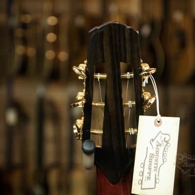 Eastman Vignola Signature Model FV680CE-SB image 18