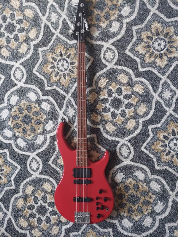 Peavey G Bass (Unique Design) image 1