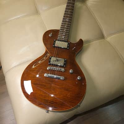 DBZ electric guitars for sale in Germany | guitar-list