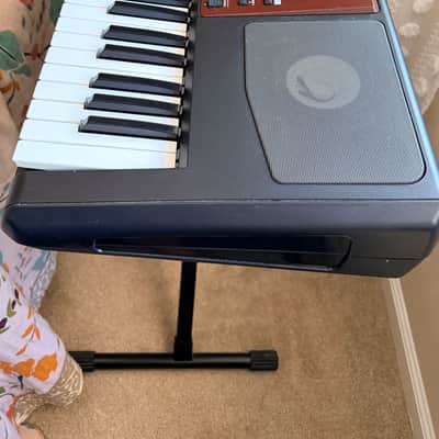Korg Pa700 OR Professional Arranger - Oriental 61 Key image 2