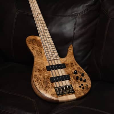 Fodera Imperial 5 Elite Poplar Burl End-2023 (10.5 lbs) image 3