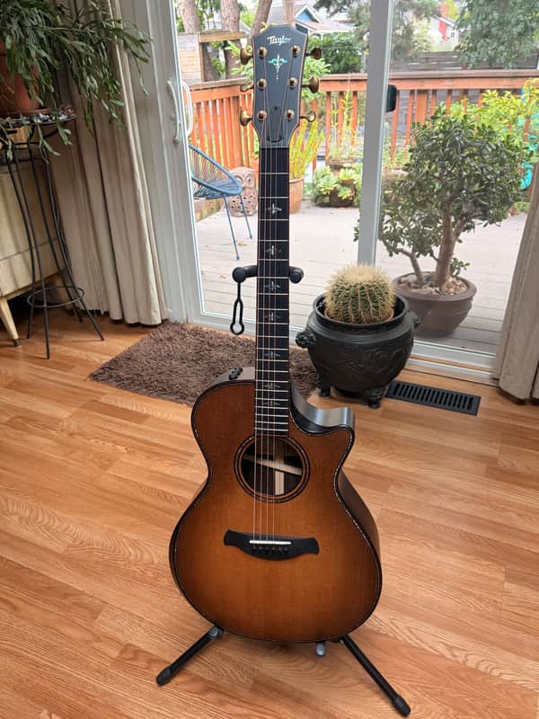 Taylor Builder's Edition 912ce WHB with V-Class Bracing