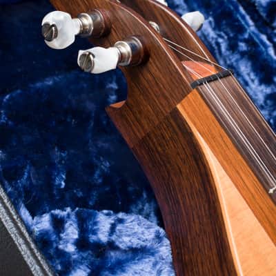 Blue Lion IIRS Mountain Dulcimer, mfg. 2000, Natural Satin w/ rare Brass Rosettes, image 2