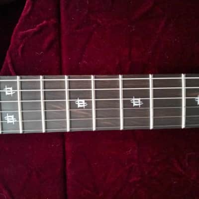 Washburn N4 Walnut Mourning Windows Inlays Proto Davies 2.0  2010 Nuno Bettencourt Signature image 14