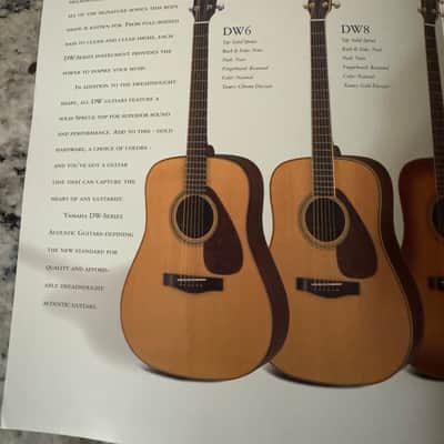 Yamaha DW Dreadnought Acoustic Brochure DW6 DW8 1999 DW8VRS DW10 image 2