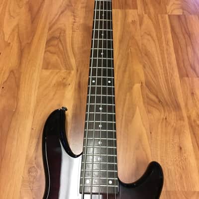 Schecter Raiden Special 5 Bass image 13