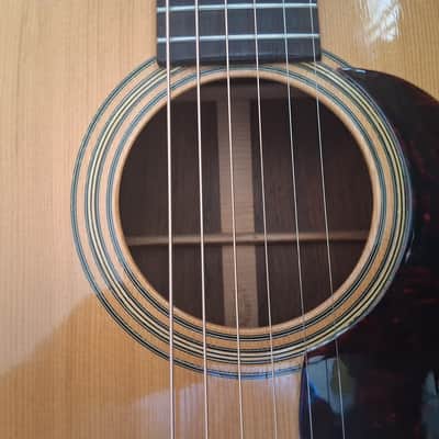 Martin slothead 0021 1960 - Gloss image 11