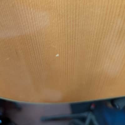 Hohner International Limited Edition HG310 Dreadnought Acoustic Guitar image 10