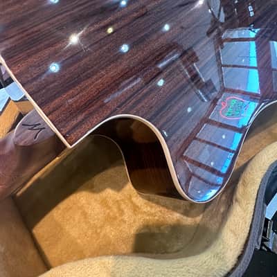 Washburn WLD20SCE Woodline 20 Dreadnought With Cutaway 2010s Natural W/ Orig. Hard Case image 15