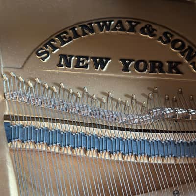 Steinway & Sons B 1959 - Ebony Satin #362672 Bild 6