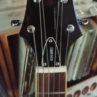Peerless Songbird w/ OHSC image 2