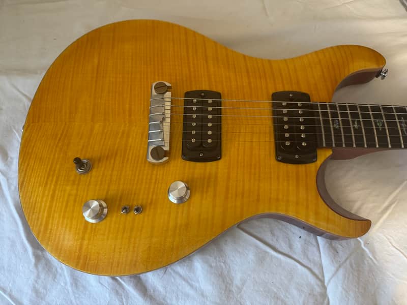 PRS SE Paul's Guitar image 1
