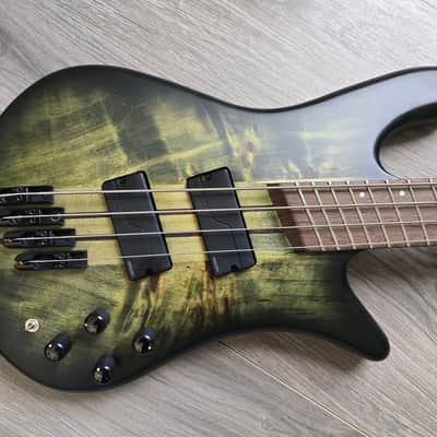 Spector NS Dimension 4 image 3