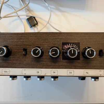 Radel DX-Soft Analog Saarang/Tampura with Original Case and Manual image 3
