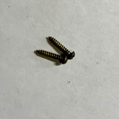 Gretsch Tuning Head screws (2) 1960 - Nickel image 2