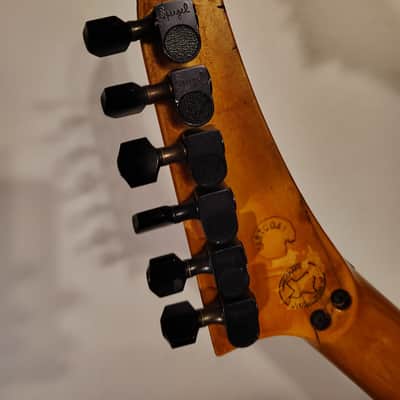 Robin Tedley 1991 - Burst image 4
