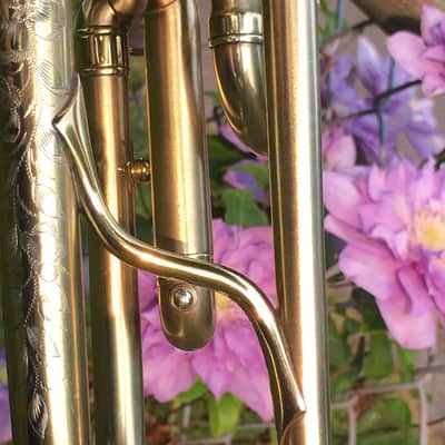 EXCELLENT SPECIAL ORDER LP CORNET F. BESSON BREVETE NEW CREATION 1923 GOLD PLATED LOVELY ENG. TO THE TOP / GREAT COMPRESSION image 17