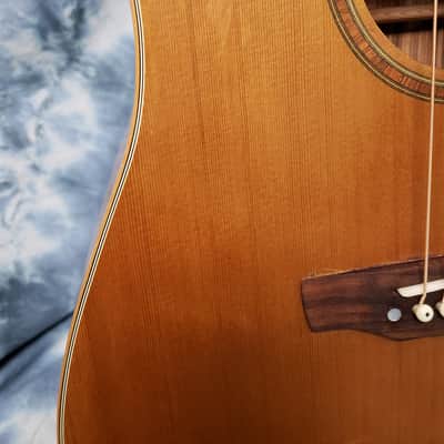 2011 Fina Model FAW-1216M Dreadnought Exotic Woods Pro Setup Original Soft Shell Case image 3