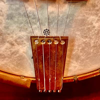 Vega Tubaphone No. 9 Openback Five String Banjo 1923 Maple image 22