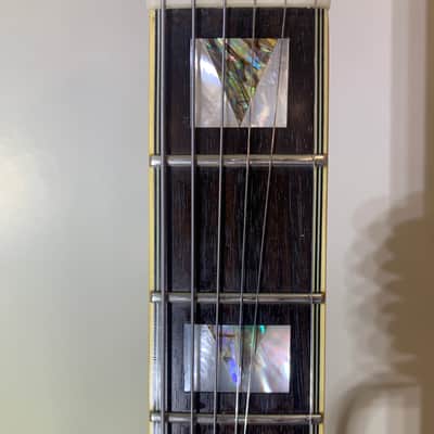 Epiphone Sheraton II Pro 2016 with new HSC image 15