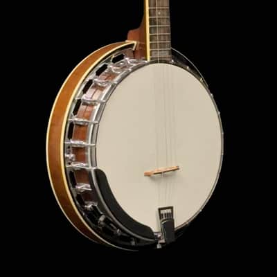 Epiphone MB-100 5 String Resonator Banjo, Hard Case image 6