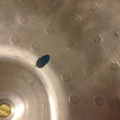 Zildjian Zbt hi-hat Bottom 13/33” image 9