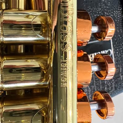 CarolBrass Pocket Flugelhorn / Taylor Phat Puppy 2024 - Polished / Lacquered image 12