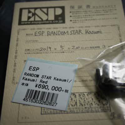 ESP Random Star Kasumi -LED- (ESP×BanG Dream! Collaboration Model Poppin'Party Series) image 21