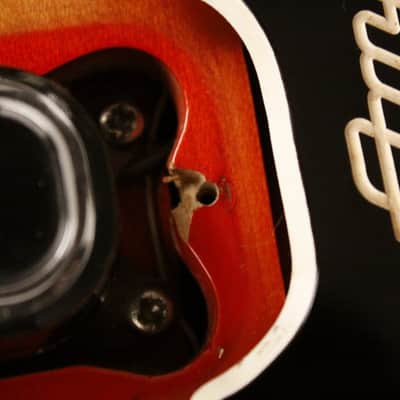 Immagine Ampeg/Burns TR2 solid carved top/back 1963-64 Sunburst - 21