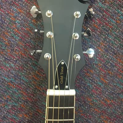 Gold Tone Mando Guitar Model F-6 Plays like Guitar-New with Case and Shop Setup! image 3