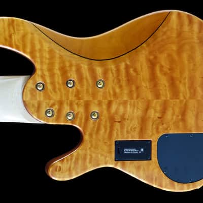 Yamaha TRB JP2 2023 - Amber image 5