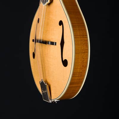 Bourgeois M5A Mandolin Full Aged Tone Adirondack Spruce and European Flamed Maple NEW image 12