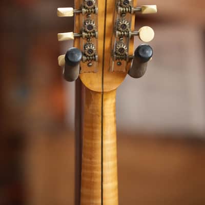 (Used) 1920s Vintage Vega Little Wonder Open-Back Banjo-Mandolin #4928 image 11
