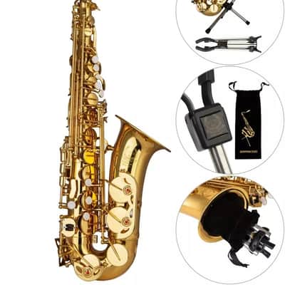New 2025 Eb Alto Saxophone – Professional Brass Sax with Carrying Case, Full Cleaning Kit & Stand image 2