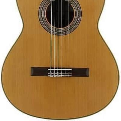 Jose Torres JTC-5 SB - chitarra classica in cedro image 2