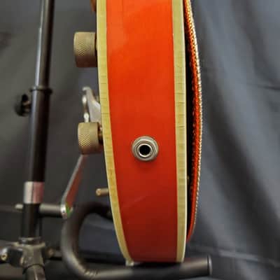 Gretsch Chet Atkins Nashville Model | 1967 | Single Mute image 19