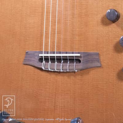 CORDOBA STAGE GUITAR (TRADITIONAL CD) image 13
