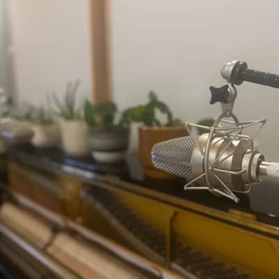 Advanced audio CM49le tube mic image 3