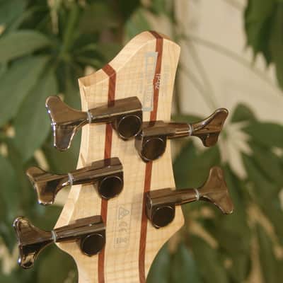 Ibanez BTB 885 SC Terra Firma image 8