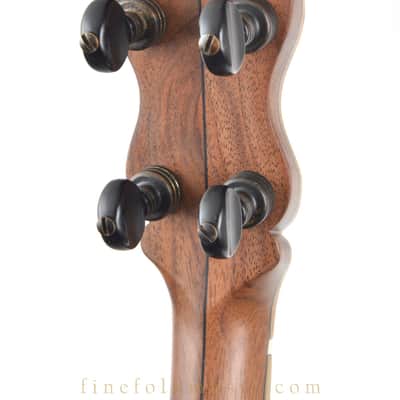 2019 PISGAH CUSTOM FLUSH FRET 5-STRING BANJO image 6